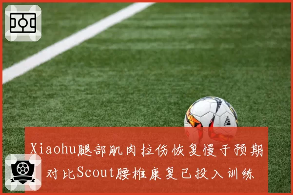 Xiaohu腿部肌肉拉伤恢复慢于预期，对比Scout腰椎康复已投入训练