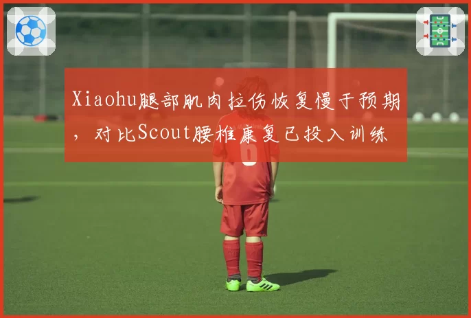 Xiaohu腿部肌肉拉伤恢复慢于预期，对比Scout腰椎康复已投入训练